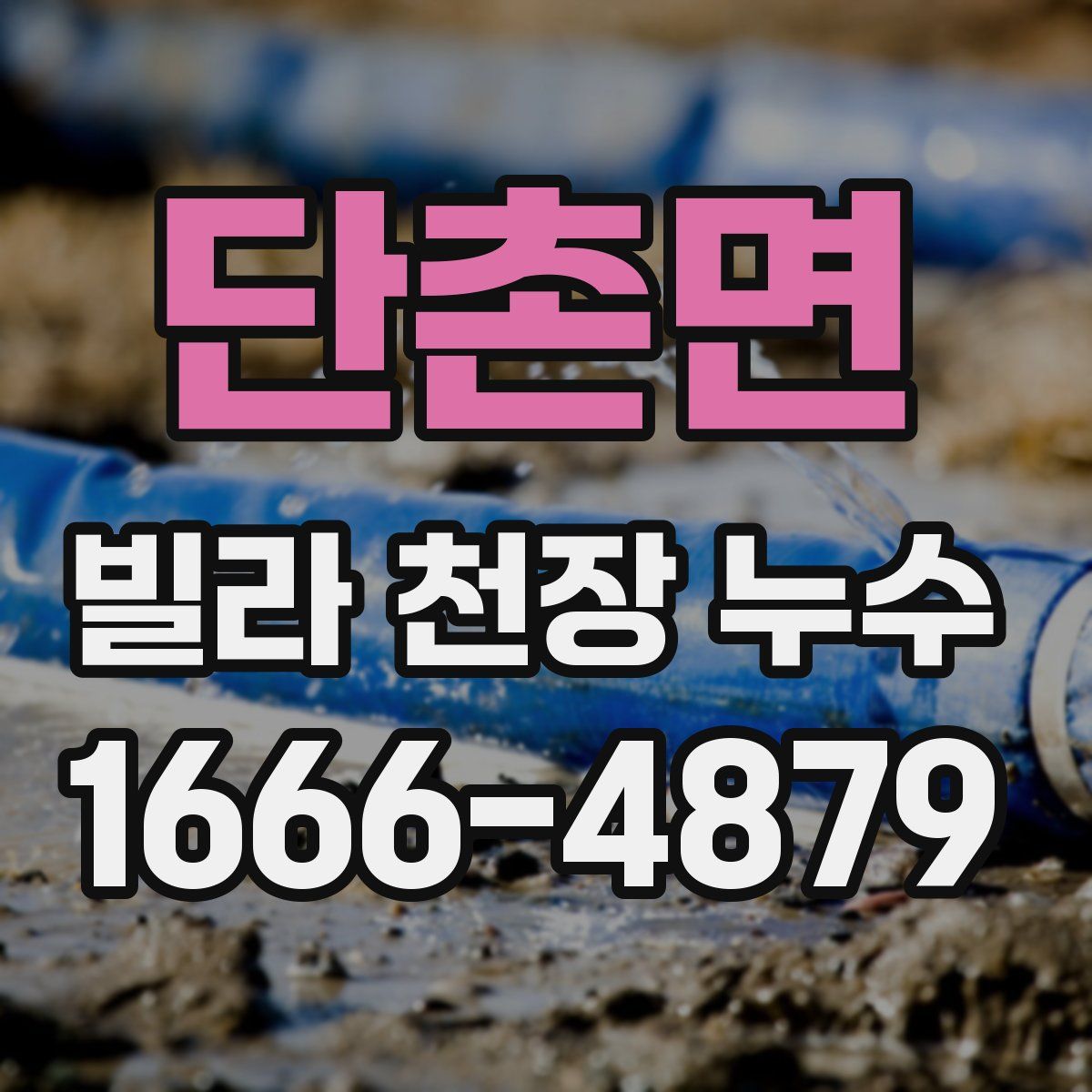 단촌면 빌라 천장 누수