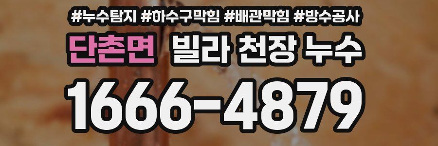 단촌면 빌라 천장 누수