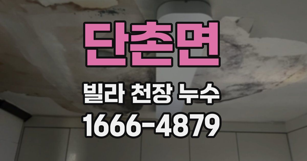 단촌면 빌라 천장 누수