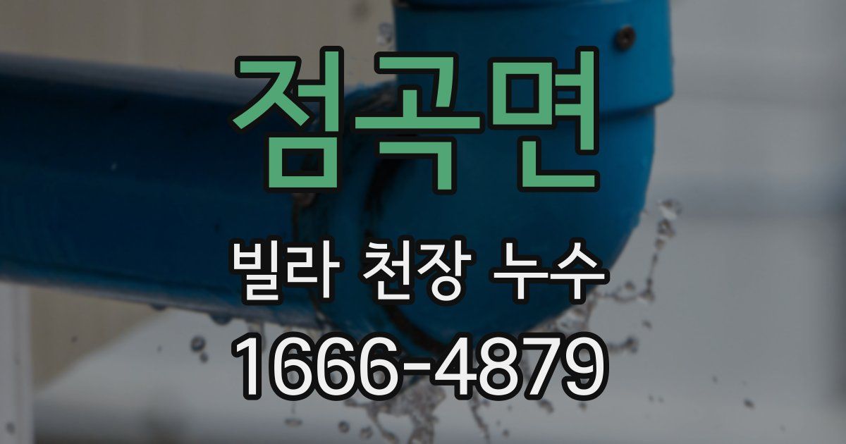 점곡면 빌라 천장 누수