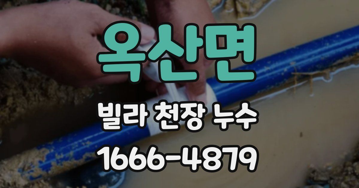 옥산면 빌라 천장 누수