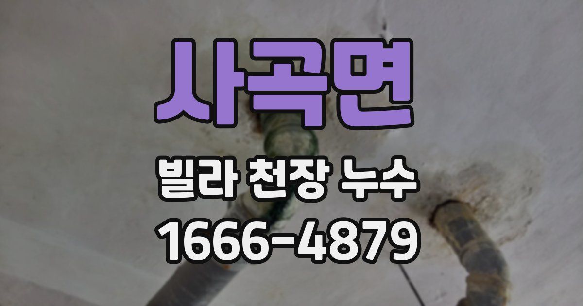 사곡면 빌라 천장 누수