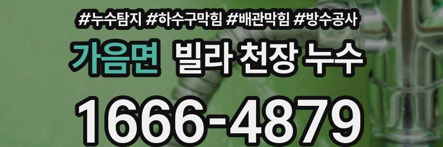 가음면 빌라 천장 누수