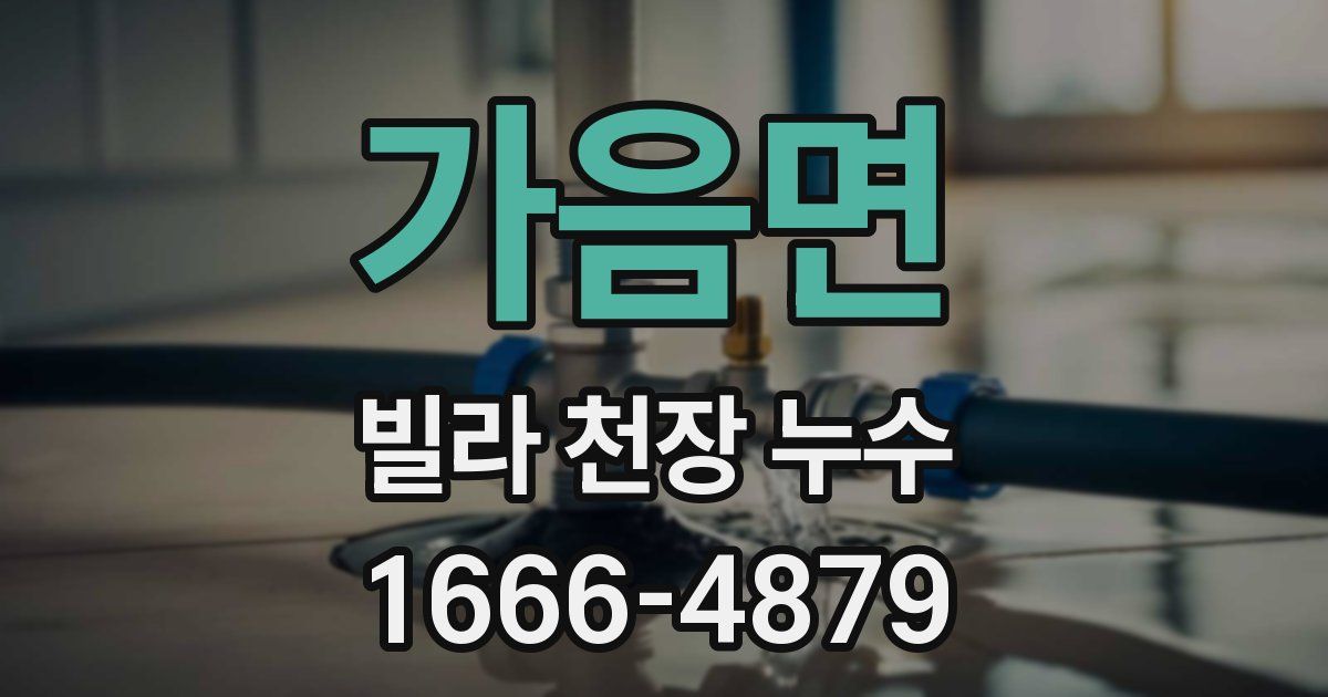 가음면 빌라 천장 누수