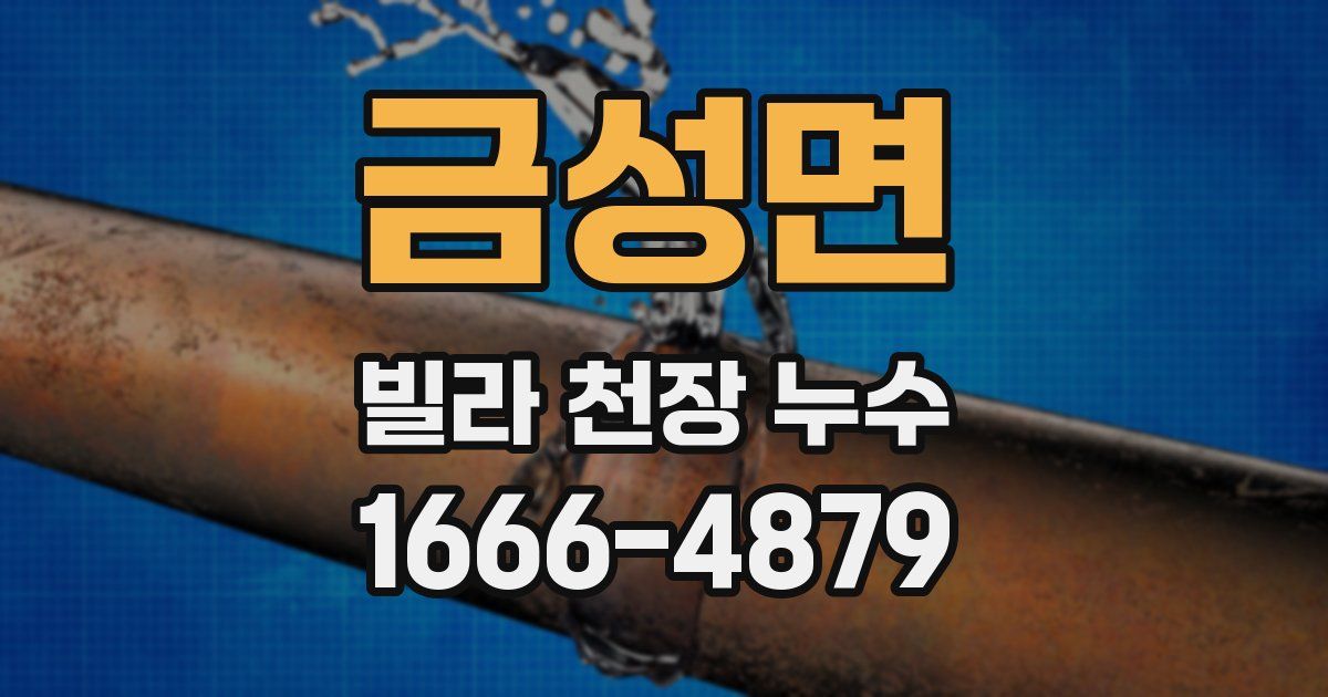금성면 빌라 천장 누수