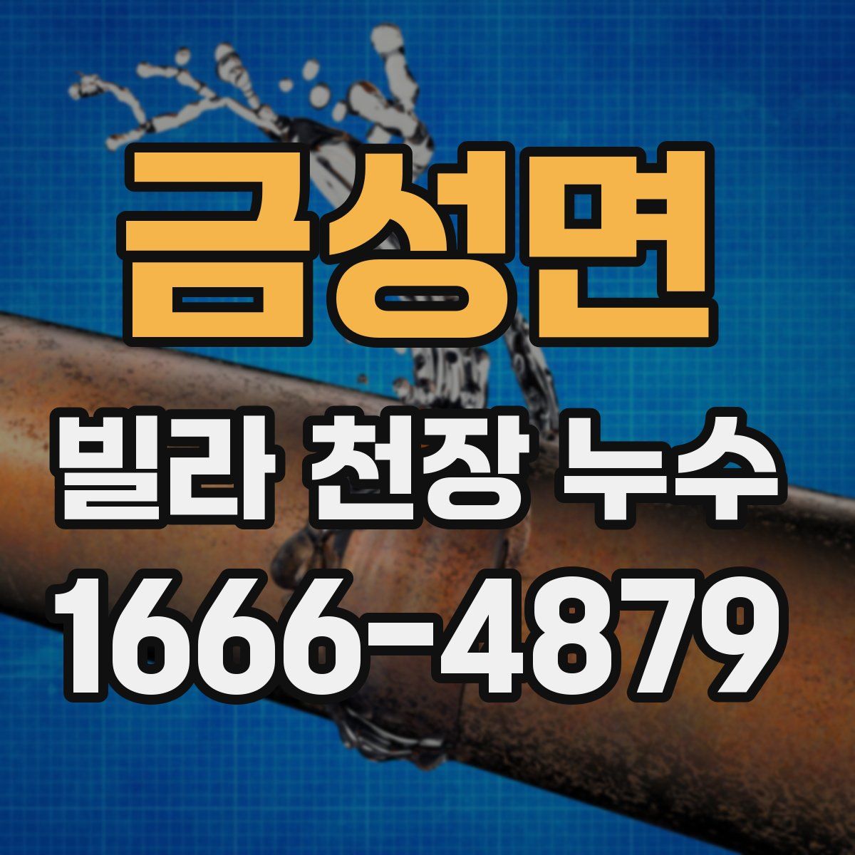 금성면 빌라 천장 누수