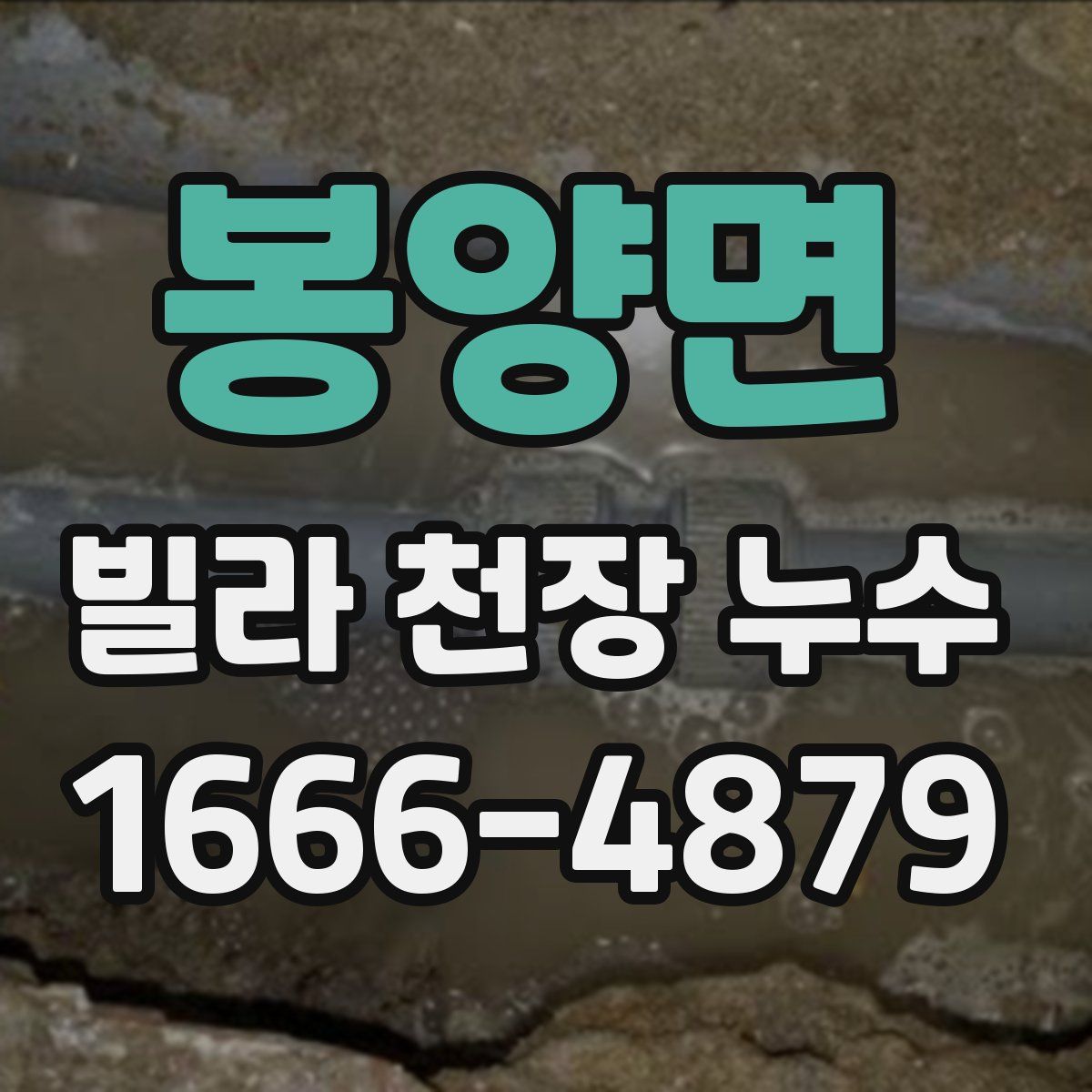 봉양면 빌라 천장 누수