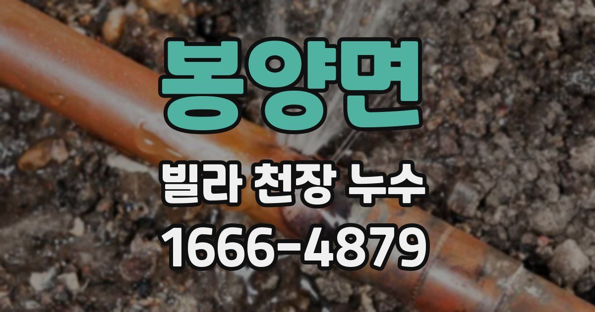 봉양면 빌라 천장 누수