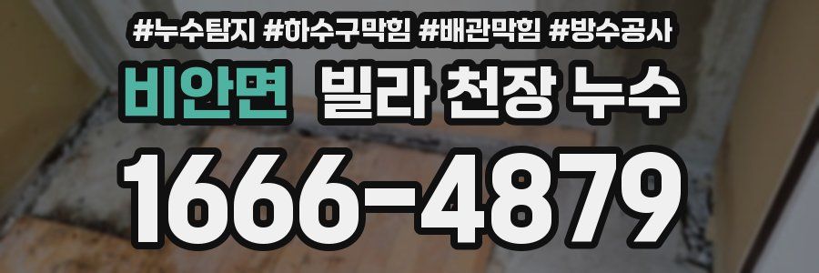 비안면 빌라 천장 누수