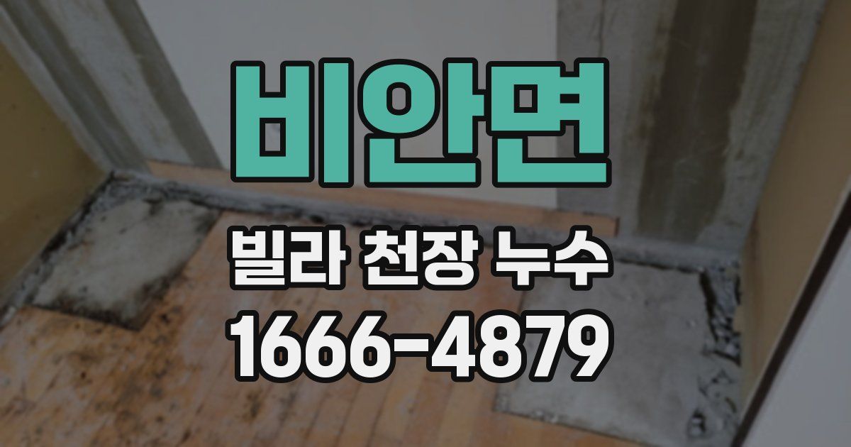 비안면 빌라 천장 누수