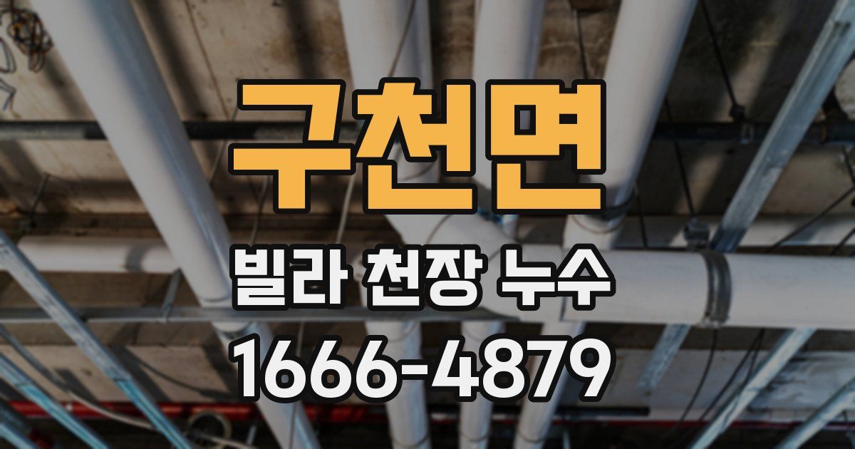 구천면 빌라 천장 누수