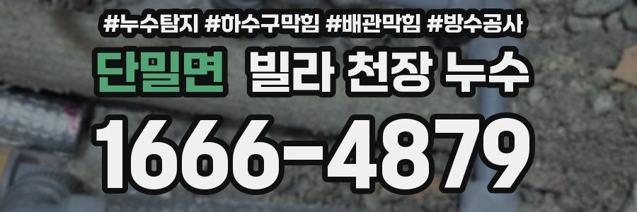 단밀면 빌라 천장 누수