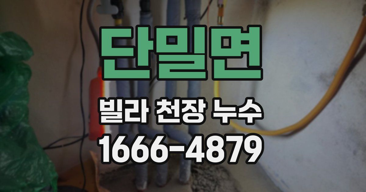 단밀면 빌라 천장 누수