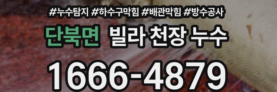 단북면 빌라 천장 누수