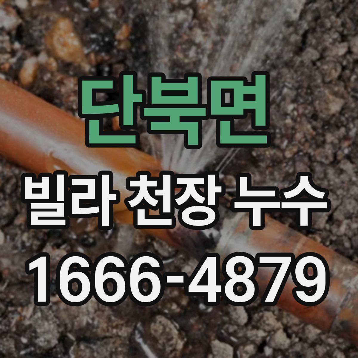 단북면 빌라 천장 누수