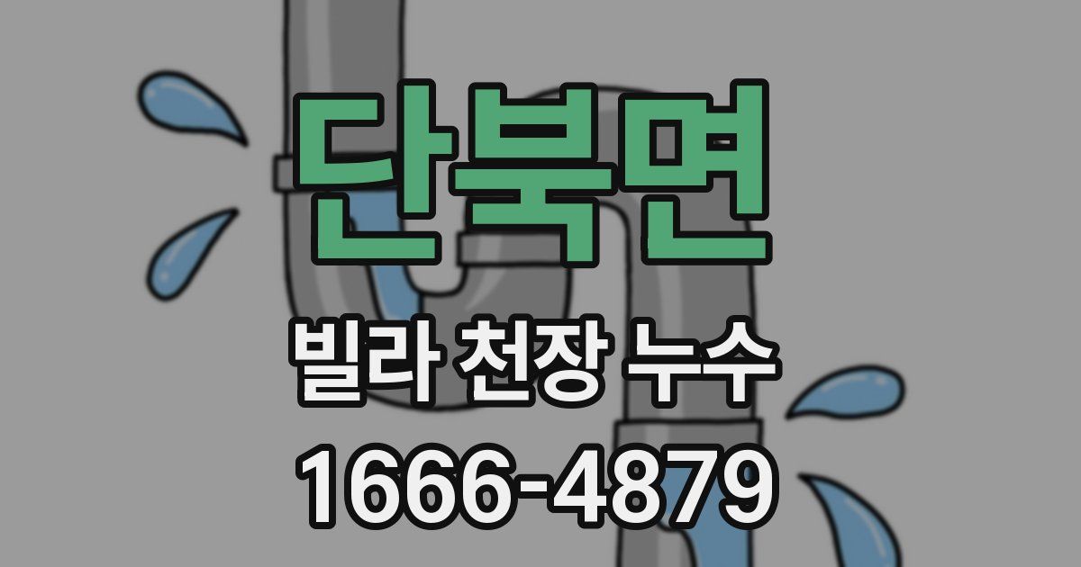단북면 빌라 천장 누수