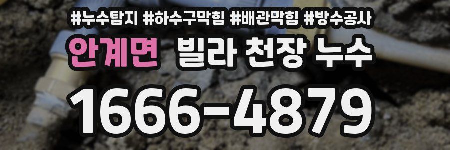 안계면 빌라 천장 누수
