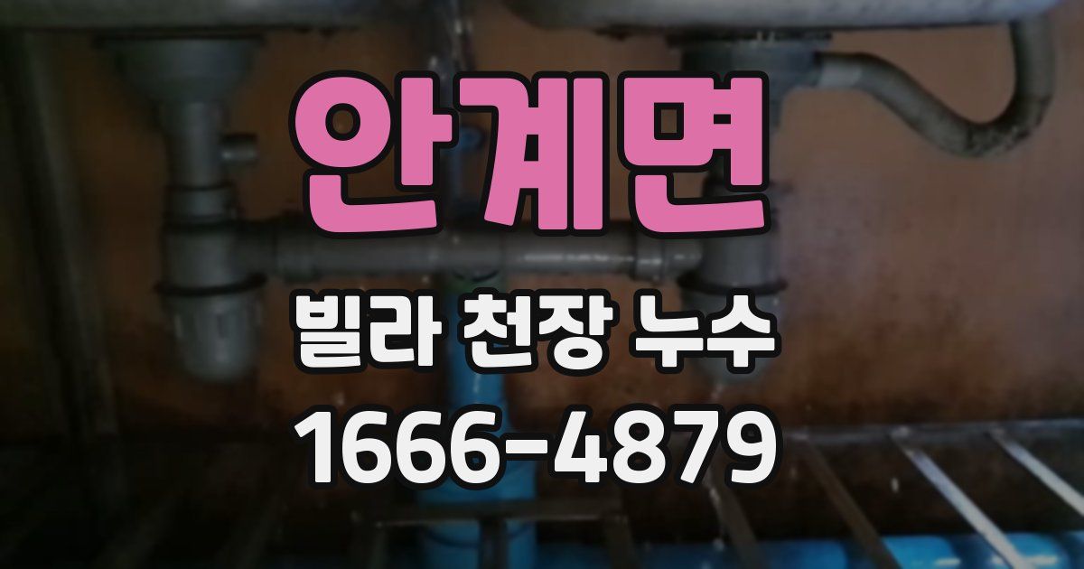 안계면 빌라 천장 누수