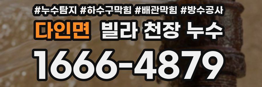 다인면 빌라 천장 누수