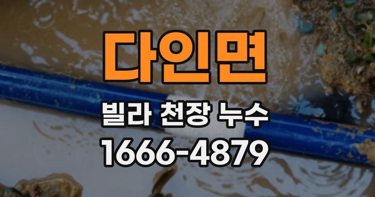 다인면 빌라 천장 누수