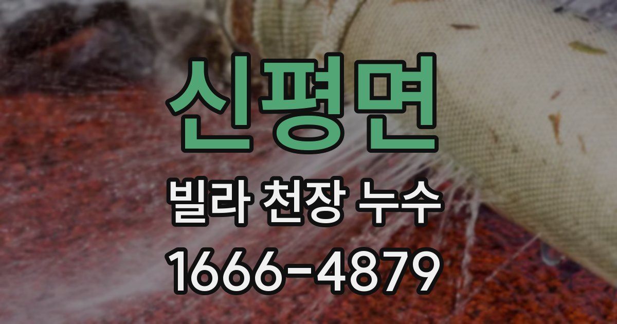 신평면 빌라 천장 누수