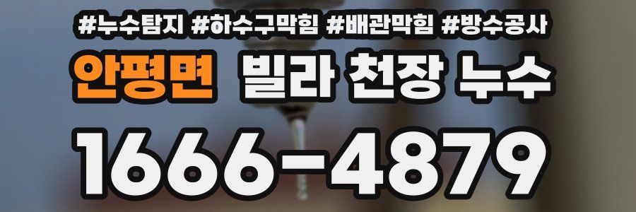 안평면 빌라 천장 누수