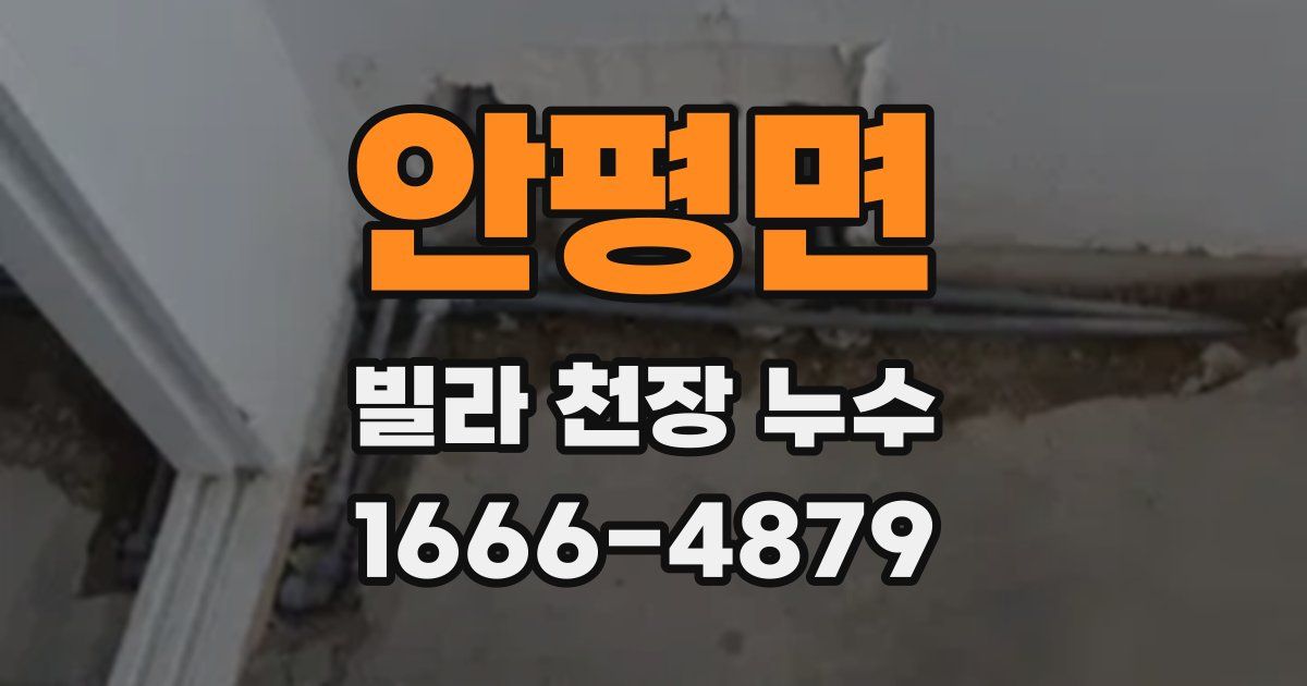 안평면 빌라 천장 누수