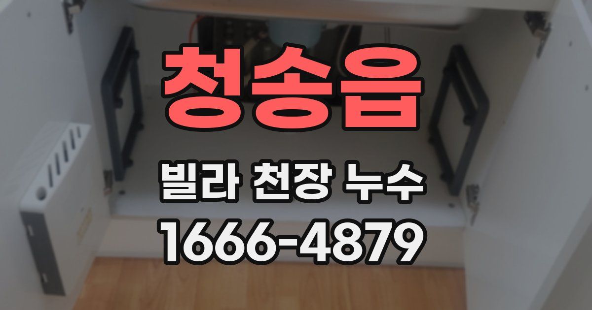 청송읍 빌라 천장 누수
