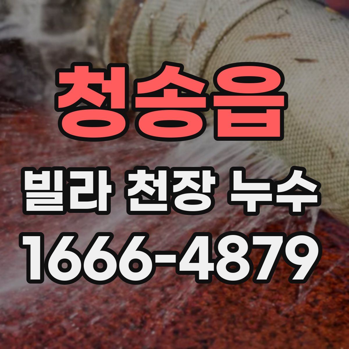 청송읍 빌라 천장 누수