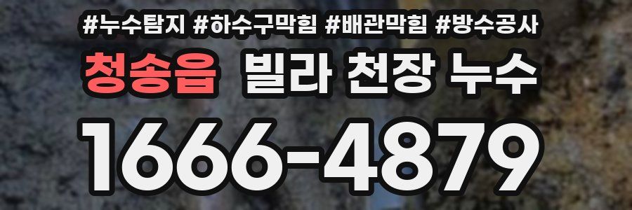 청송읍 빌라 천장 누수