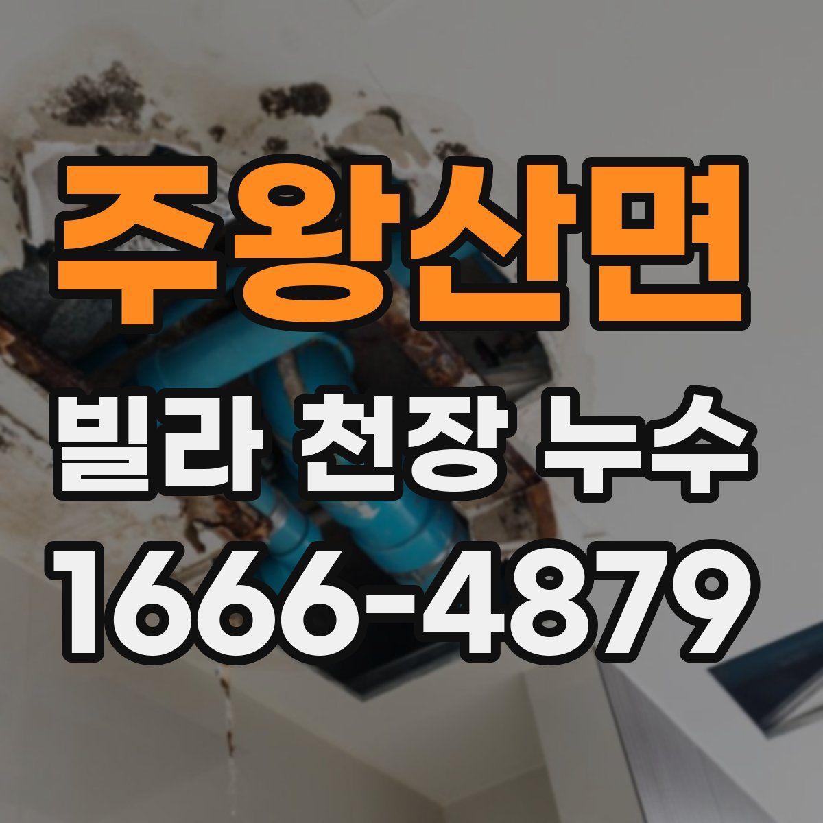 주왕산면 빌라 천장 누수