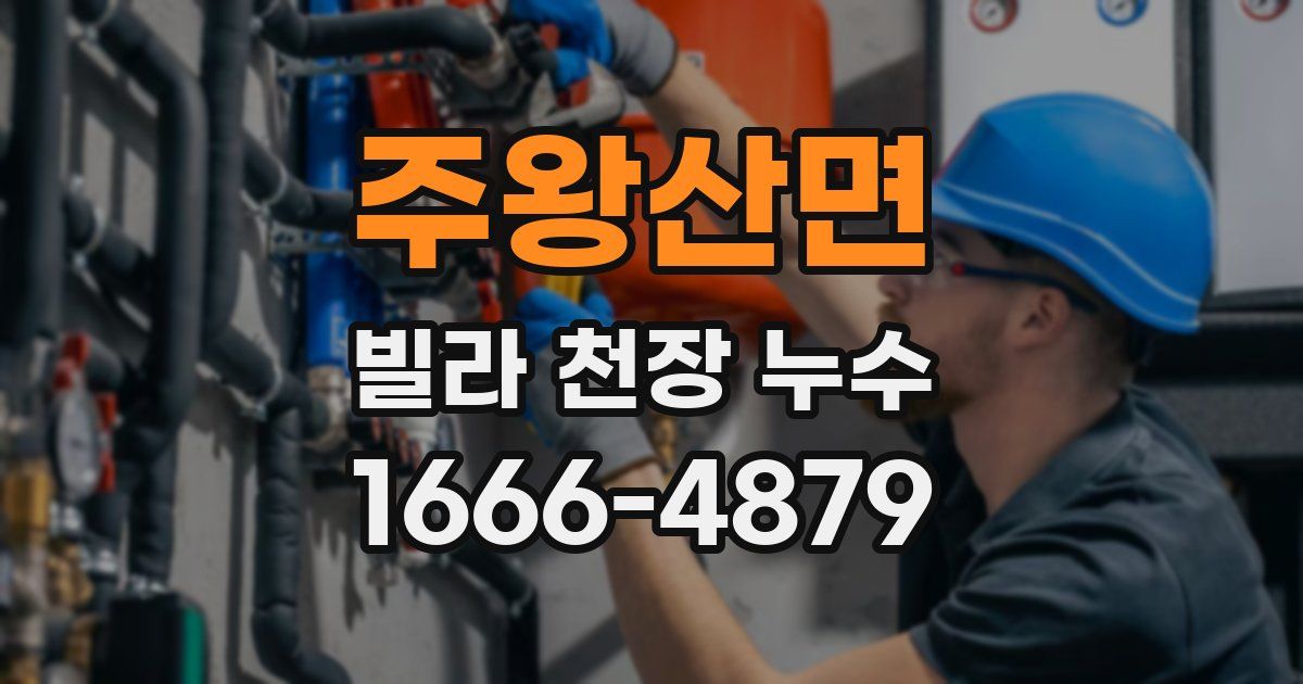 주왕산면 빌라 천장 누수