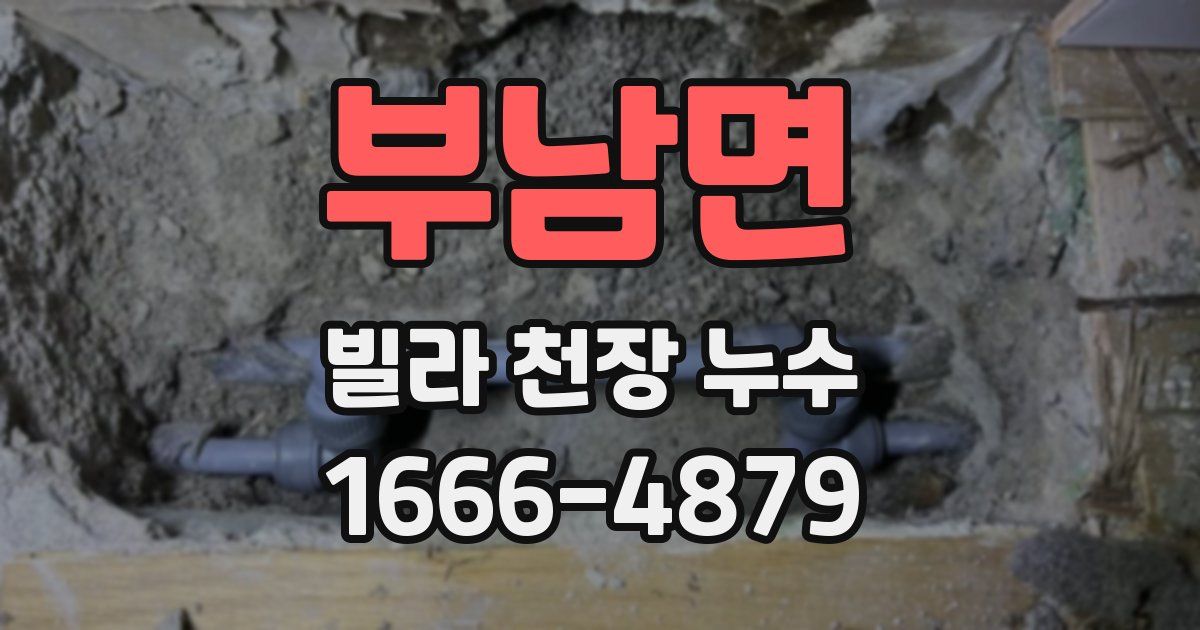 부남면 빌라 천장 누수