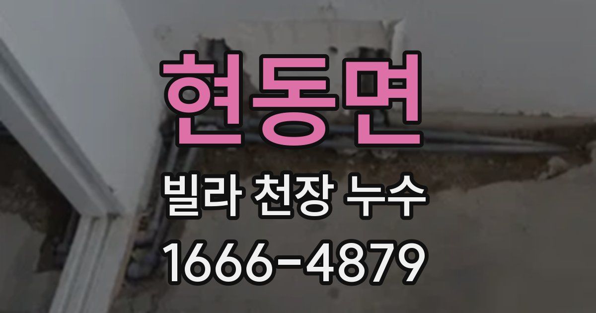 현동면 빌라 천장 누수