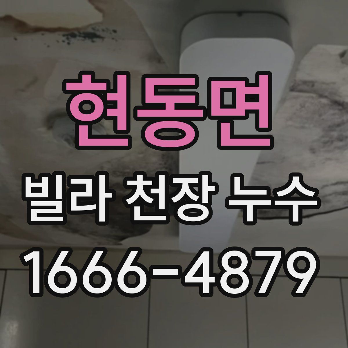 현동면 빌라 천장 누수