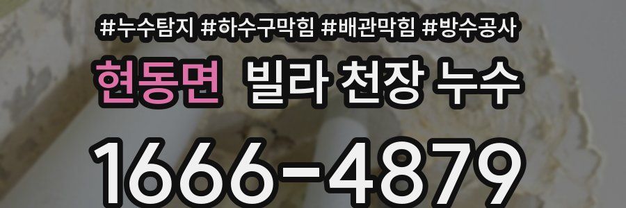 현동면 빌라 천장 누수