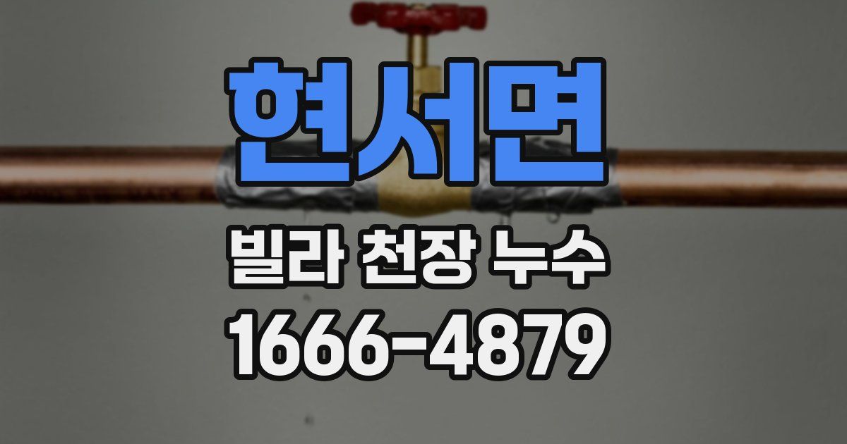 현서면 빌라 천장 누수