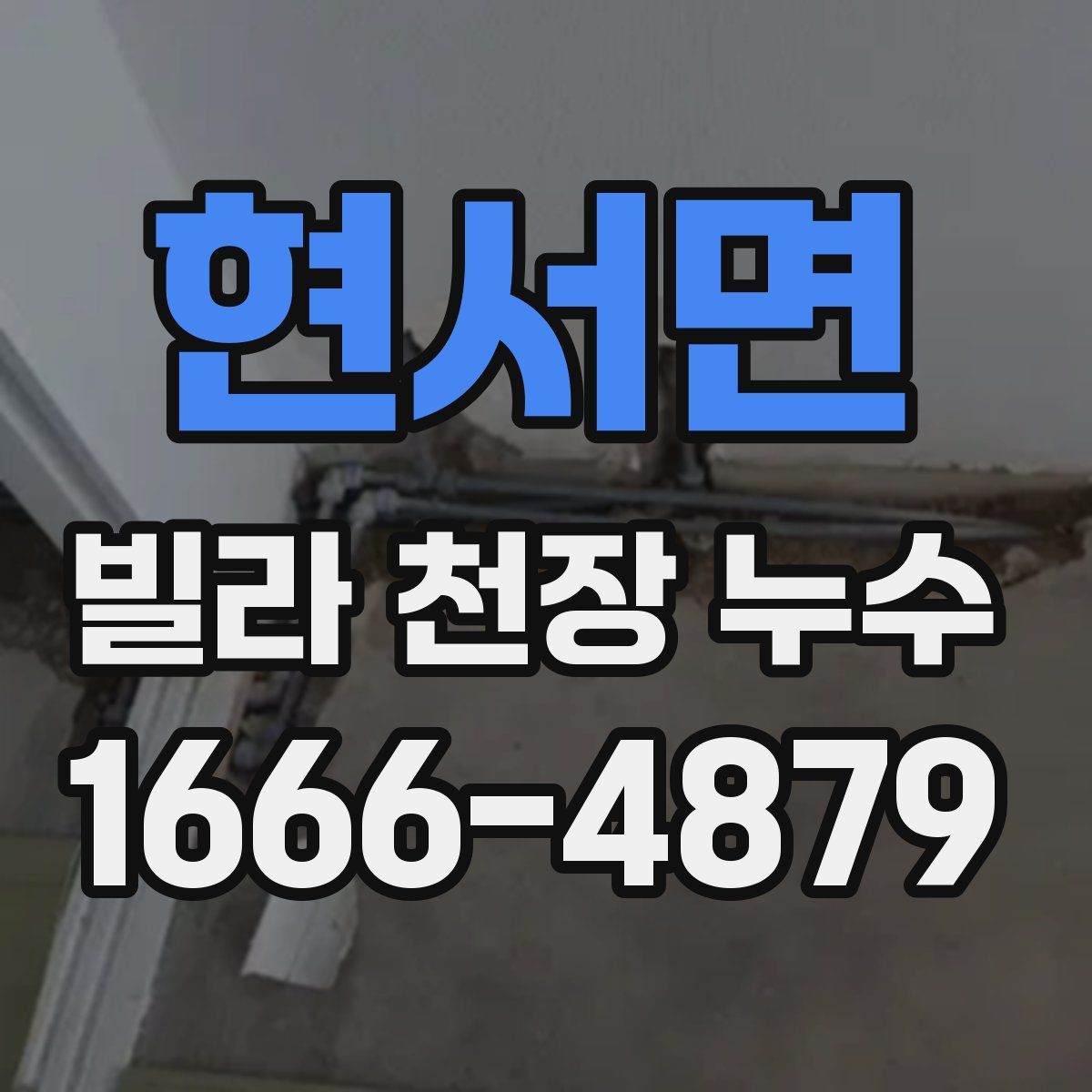 현서면 빌라 천장 누수