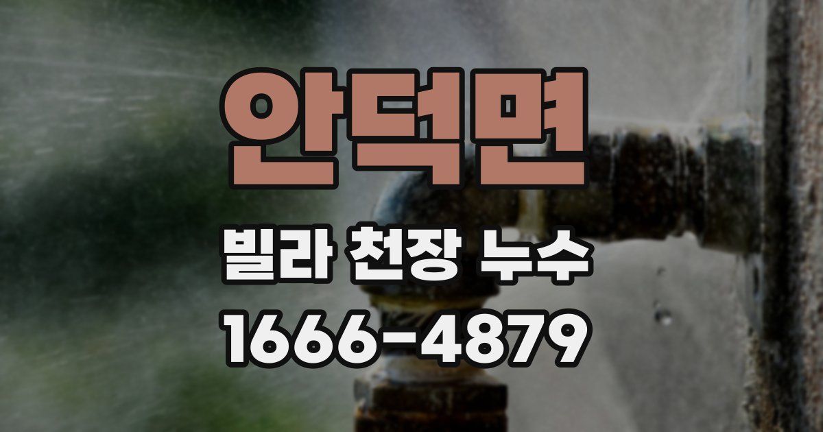 안덕면 빌라 천장 누수