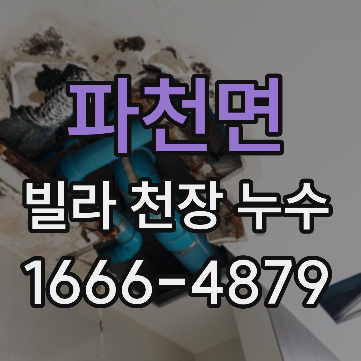 파천면 빌라 천장 누수