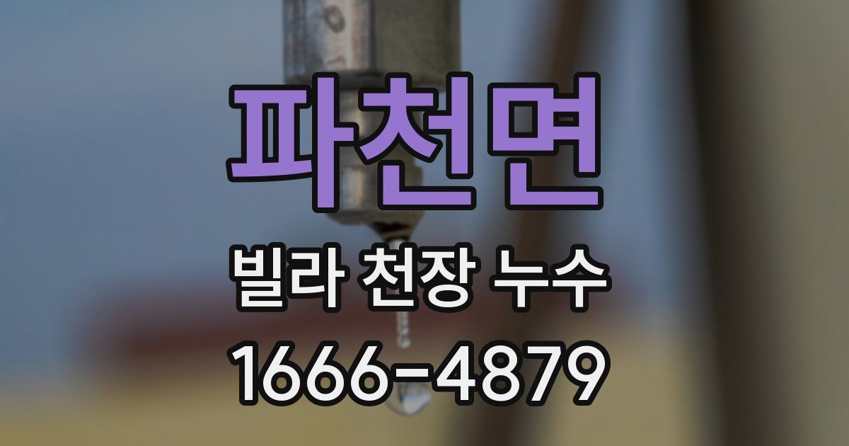 파천면 빌라 천장 누수