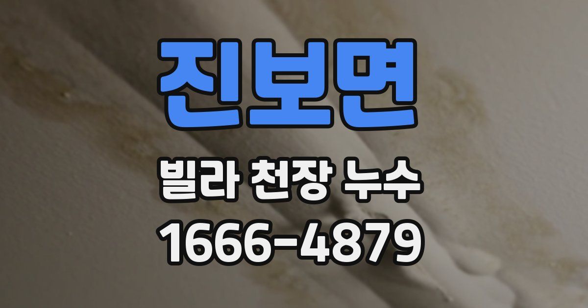 진보면 빌라 천장 누수