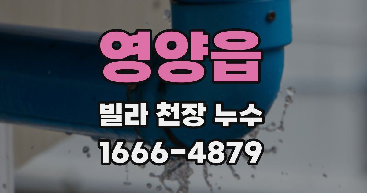 영양읍 빌라 천장 누수