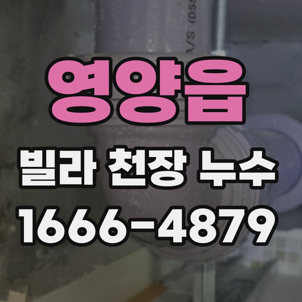 영양읍 빌라 천장 누수