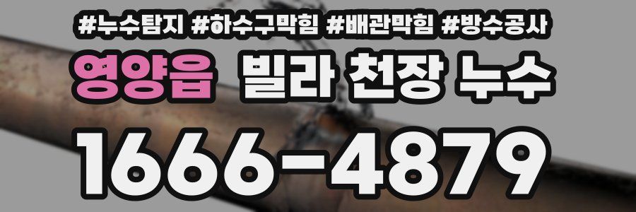 영양읍 빌라 천장 누수