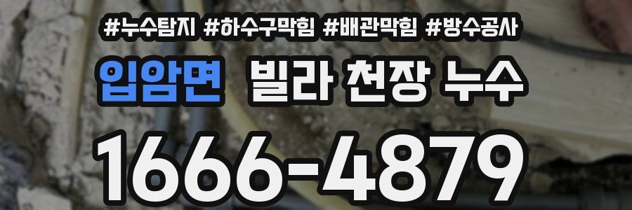 입암면 빌라 천장 누수