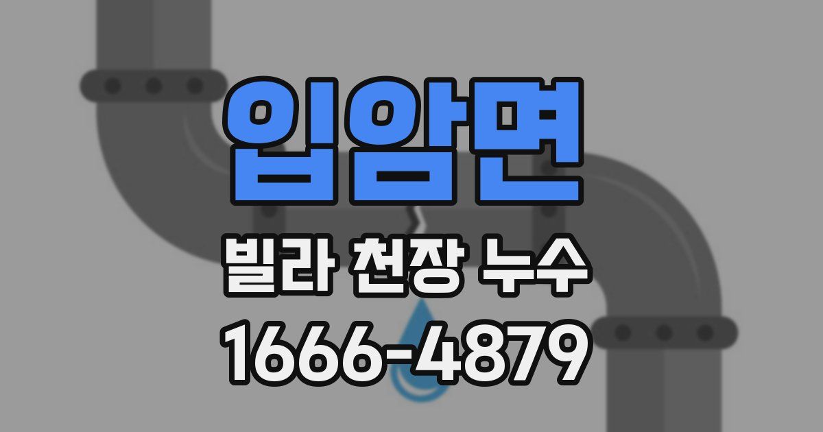 입암면 빌라 천장 누수