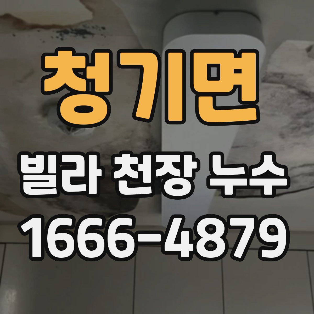 청기면 빌라 천장 누수