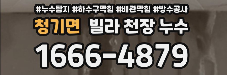 청기면 빌라 천장 누수