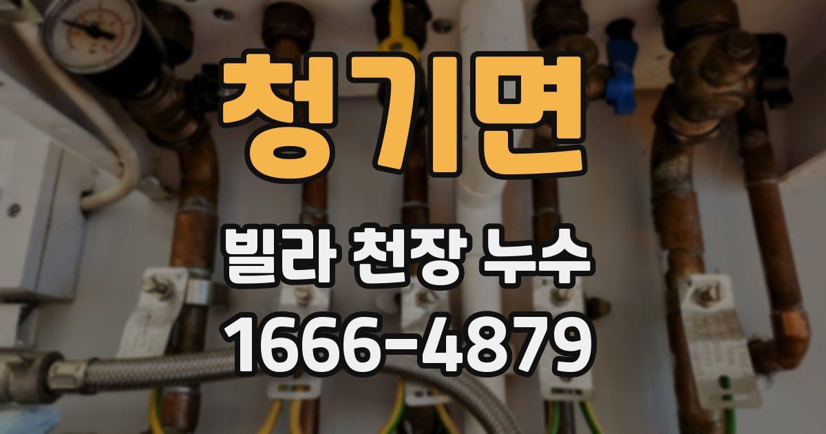 청기면 빌라 천장 누수